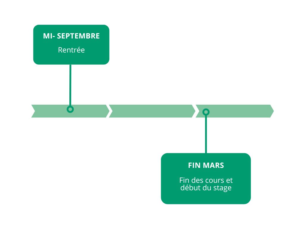 timeline m1 MBD