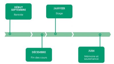 timeline m2 MBD