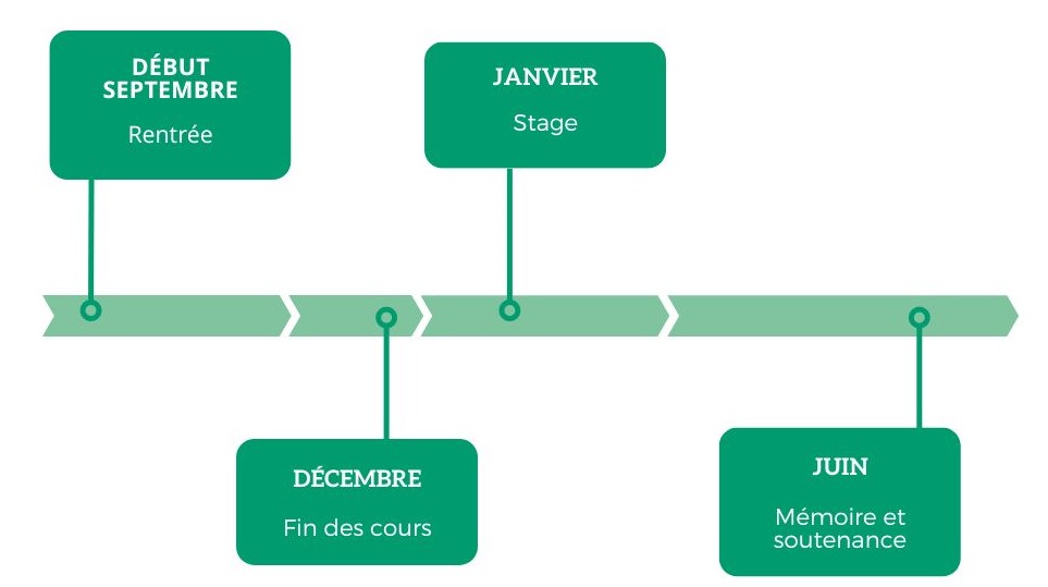 timeline m1 MBD