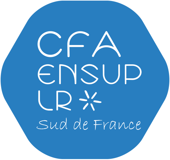 CFA ENSUP LR bleu sans fond