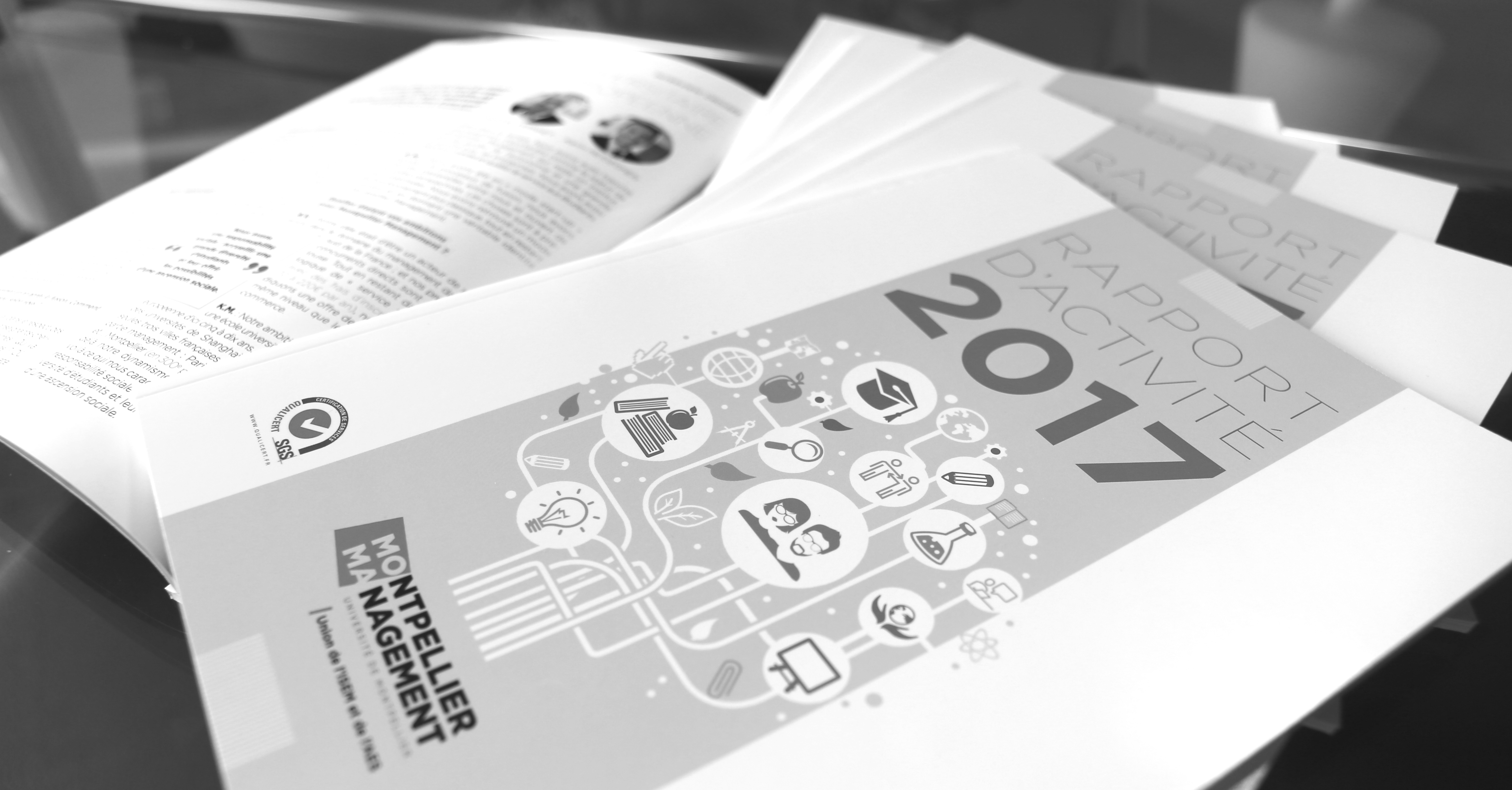 rapport-activite-2017-Montpellier-management rapport-activite-2017-Montpellier-management