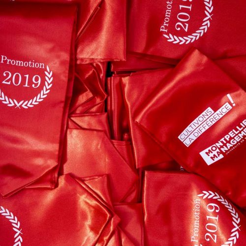 Remise de diplômes Licence Master - Montpellier Management