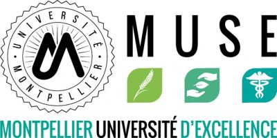RVB de base MUSE - Montpellier Université d'Excellence