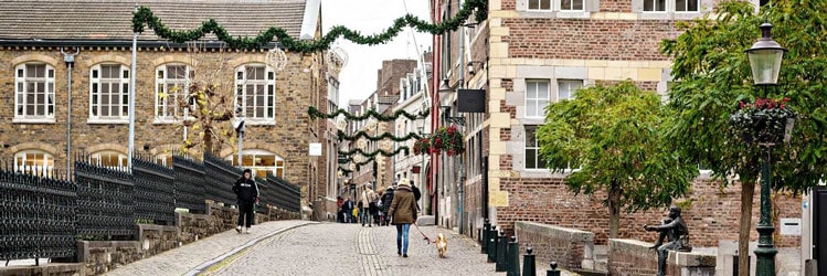 Maastricht - Mobilités Benelux - Montpellier Management