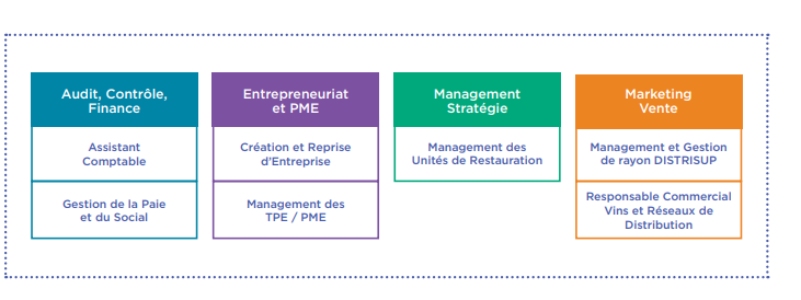 schéma licences pro