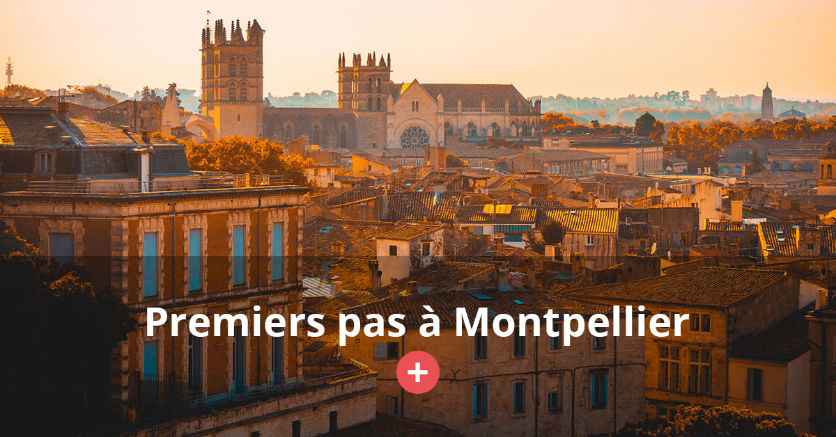 Premiers pas à Montpellier