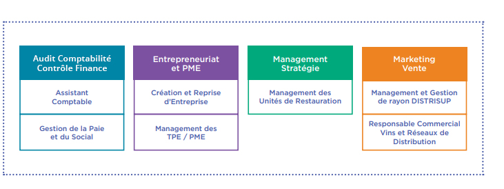 Licences professionnelles Licences professionnelles