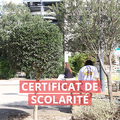 Certificat de scolarite