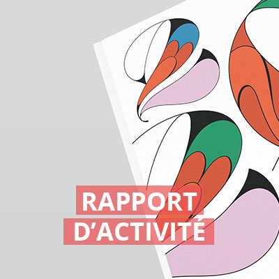 Rapport activite