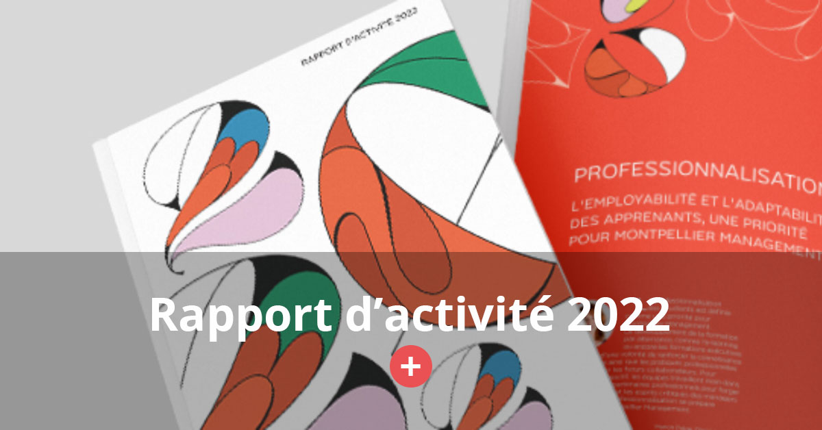 rapport activite 2022