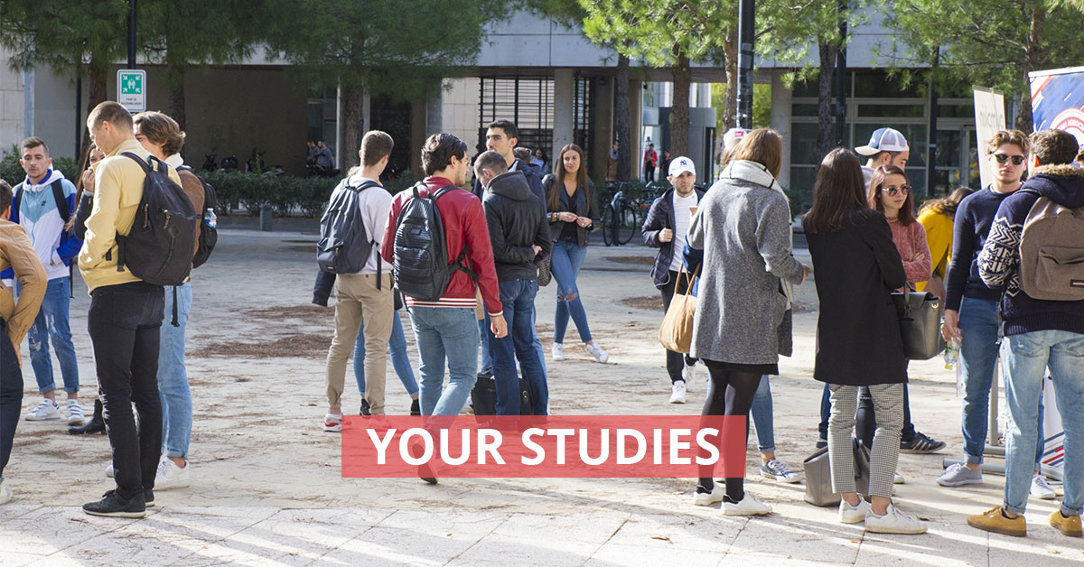 Your studies