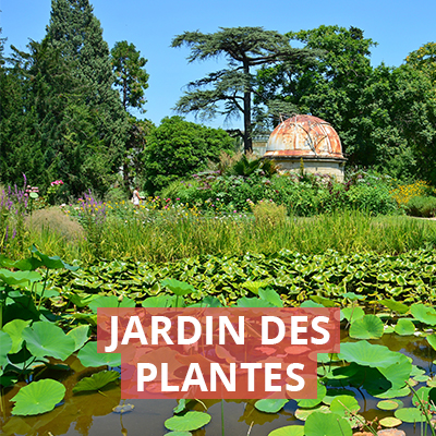 jardin des plantes