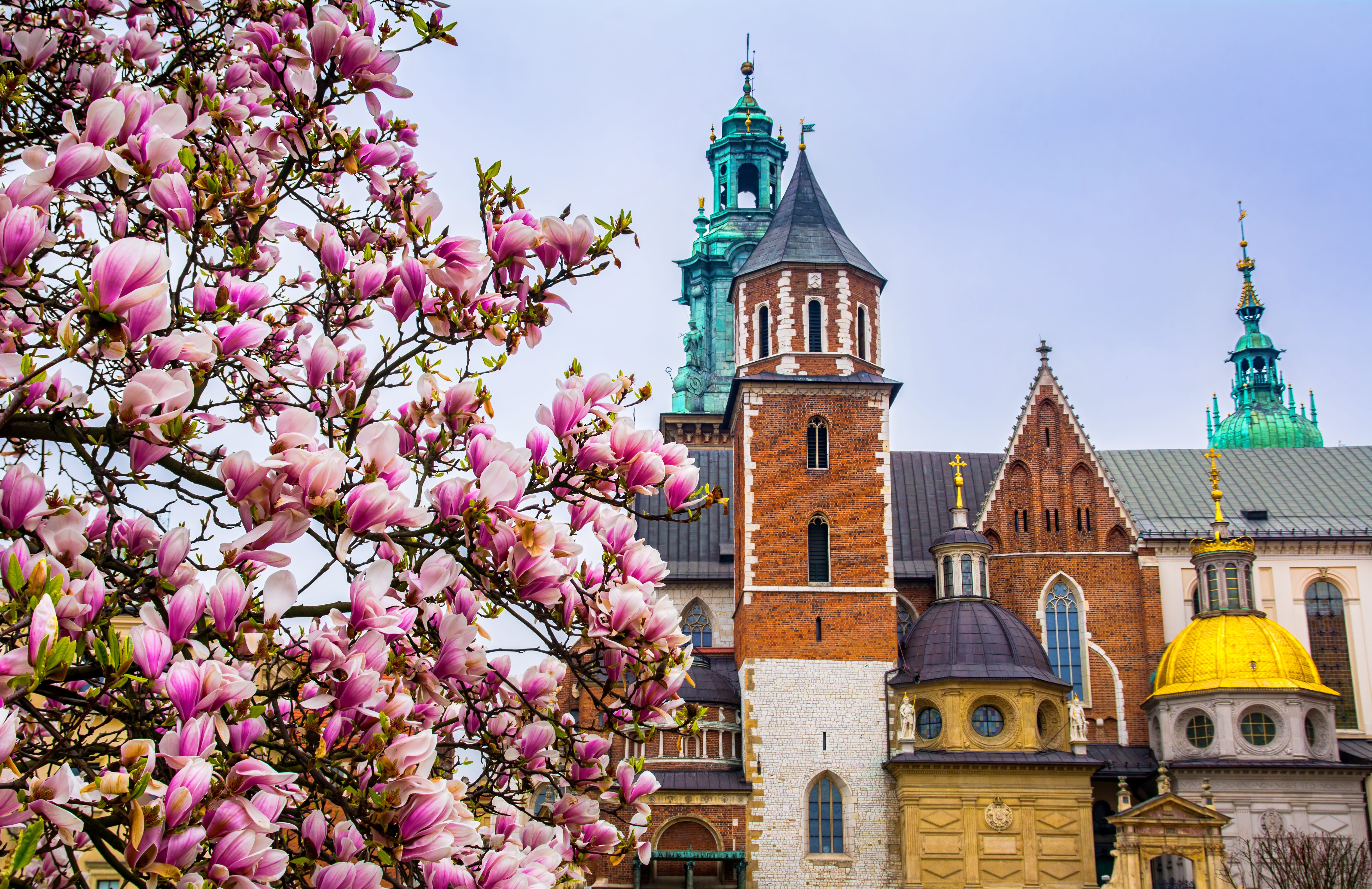 Pologne