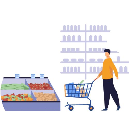 Licence 3 Pro Management et Gestion de rayon DISTRISUP