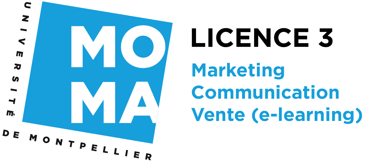 Licence 3 Marketing Communication Vente (e-learning)