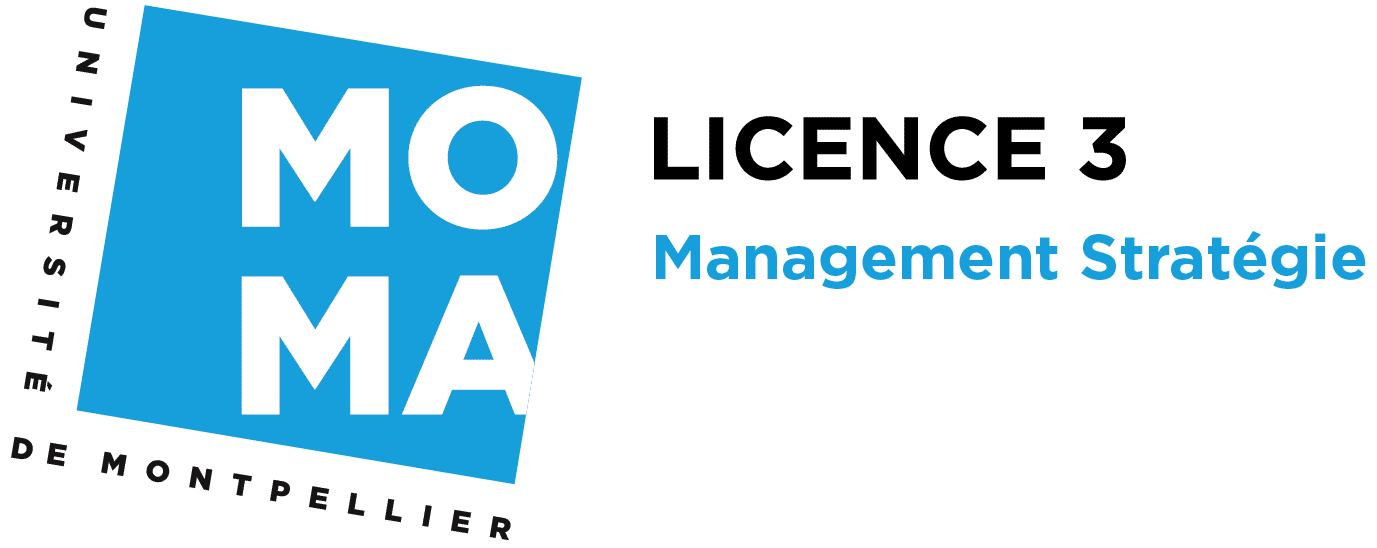 Licence 3 MS