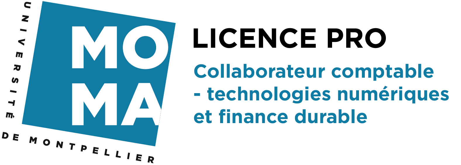 Logo Licence 3 Pro Collaborateur comptable - technologies numériques et finance durable