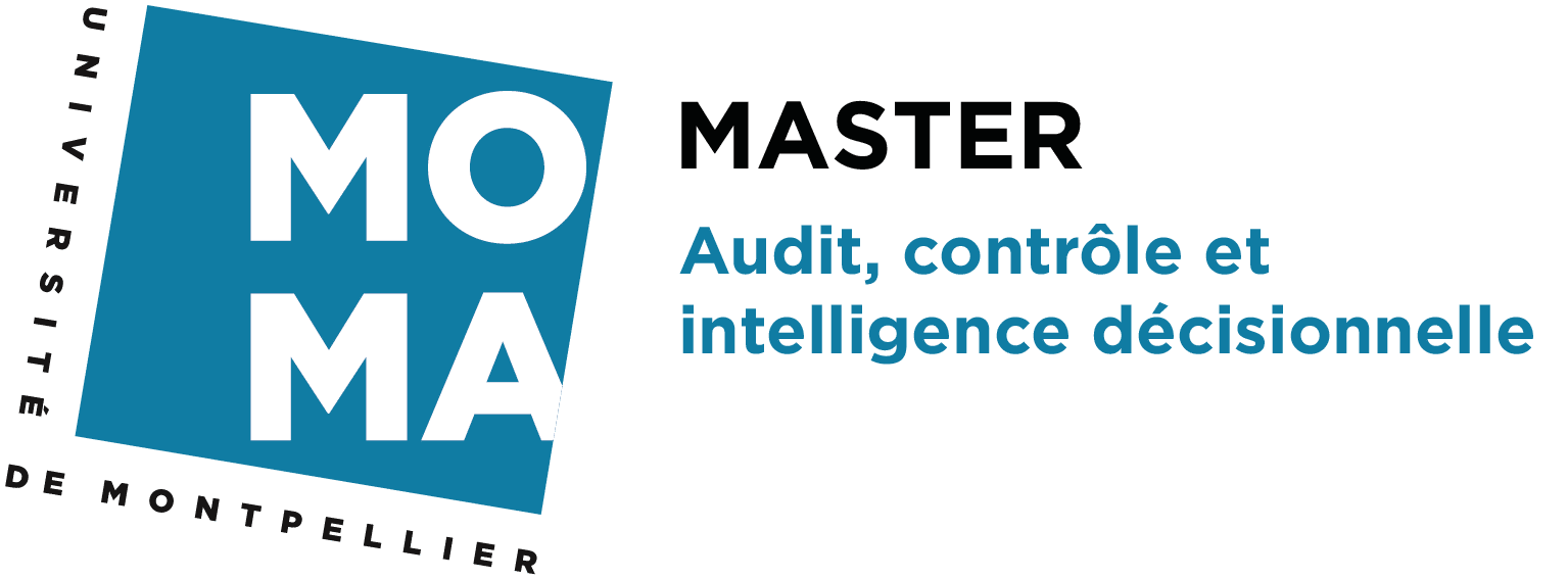 Master Audit Contrôle et Intelligence Décisionnelle