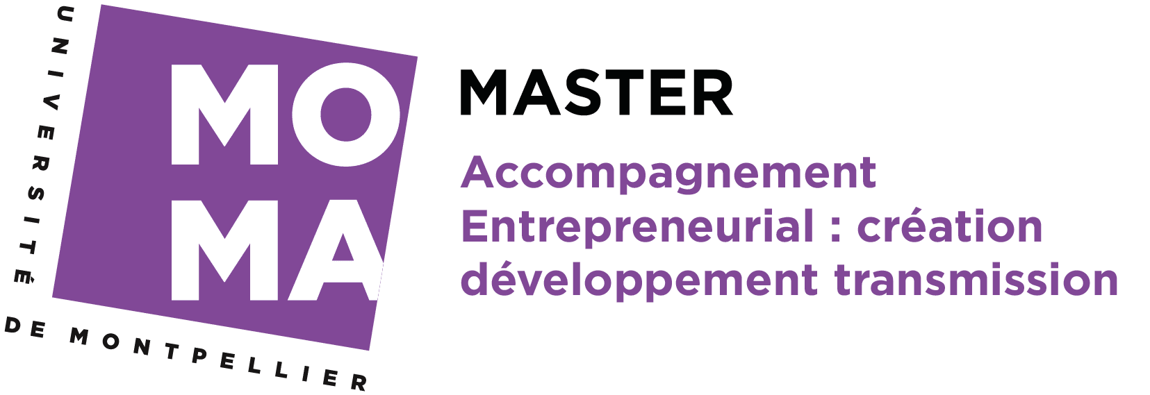 Master Accompagnement Entrepreneurial