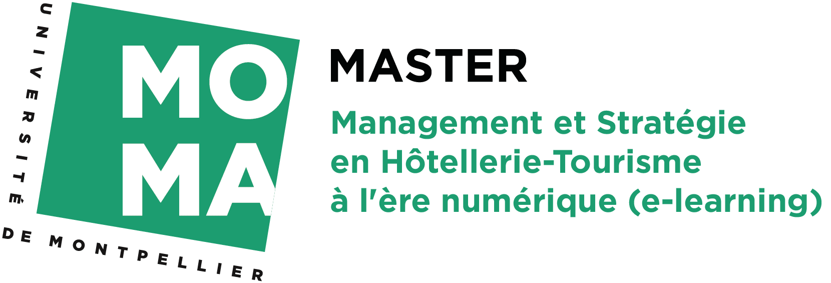 Master Management et Stratégie en Hôtellerie-Tourisme à l'ère numérique (e-learning)