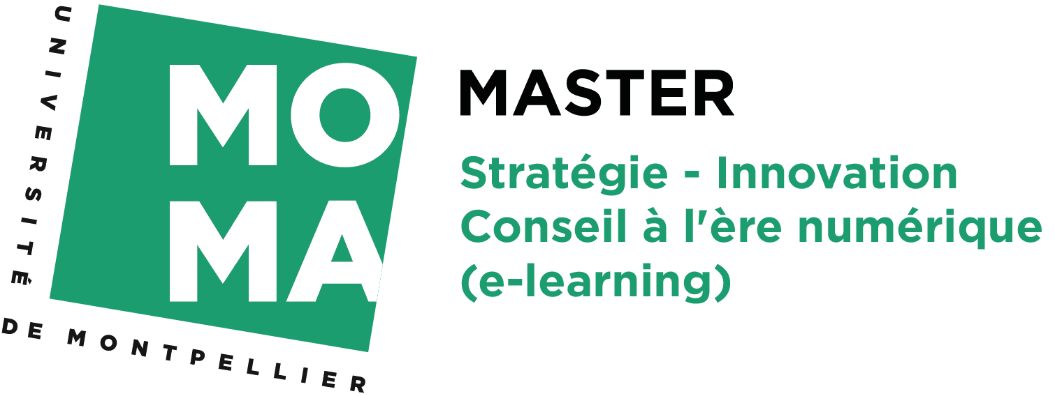 Master Stratégie - Innovation - Conseil à l'ère numérique (e-learning)