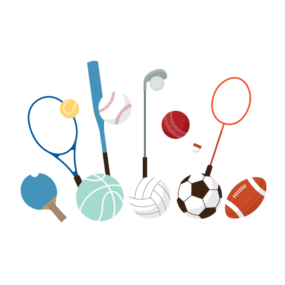Master Marketing du Sport et des Loisirs