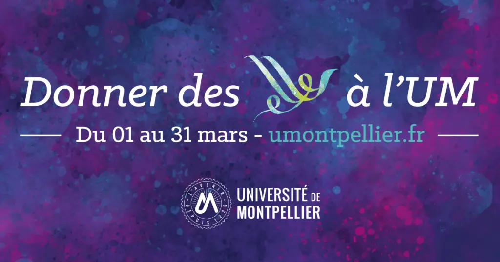 Donner des elles à l’UM