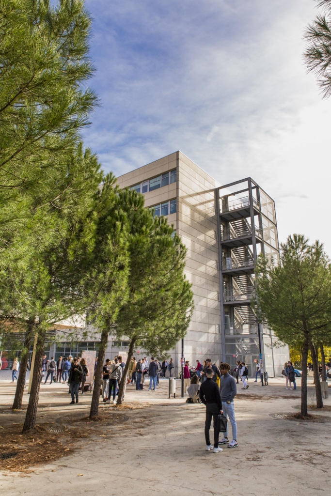 Montpellier Management