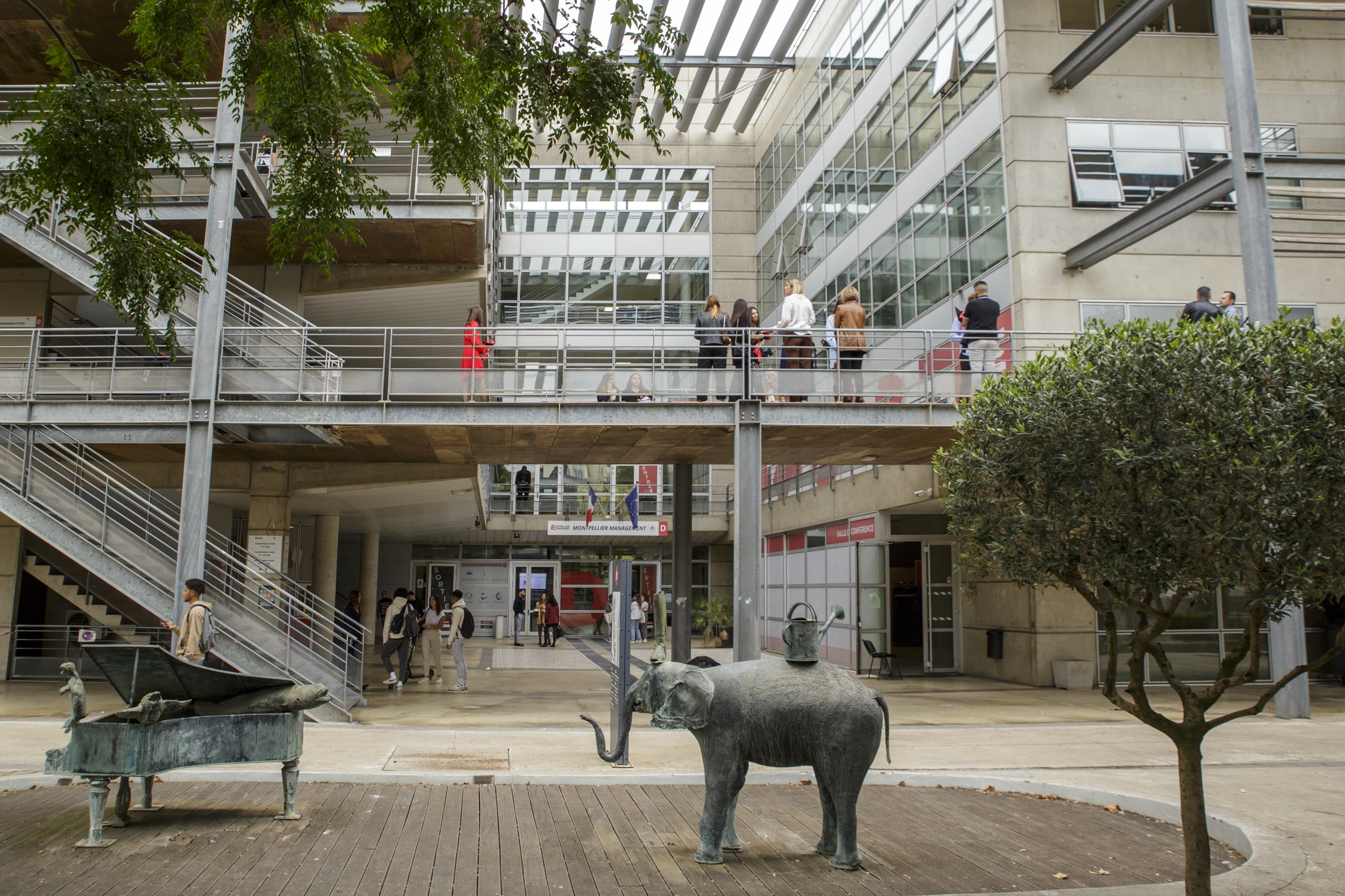 Montpellier Management