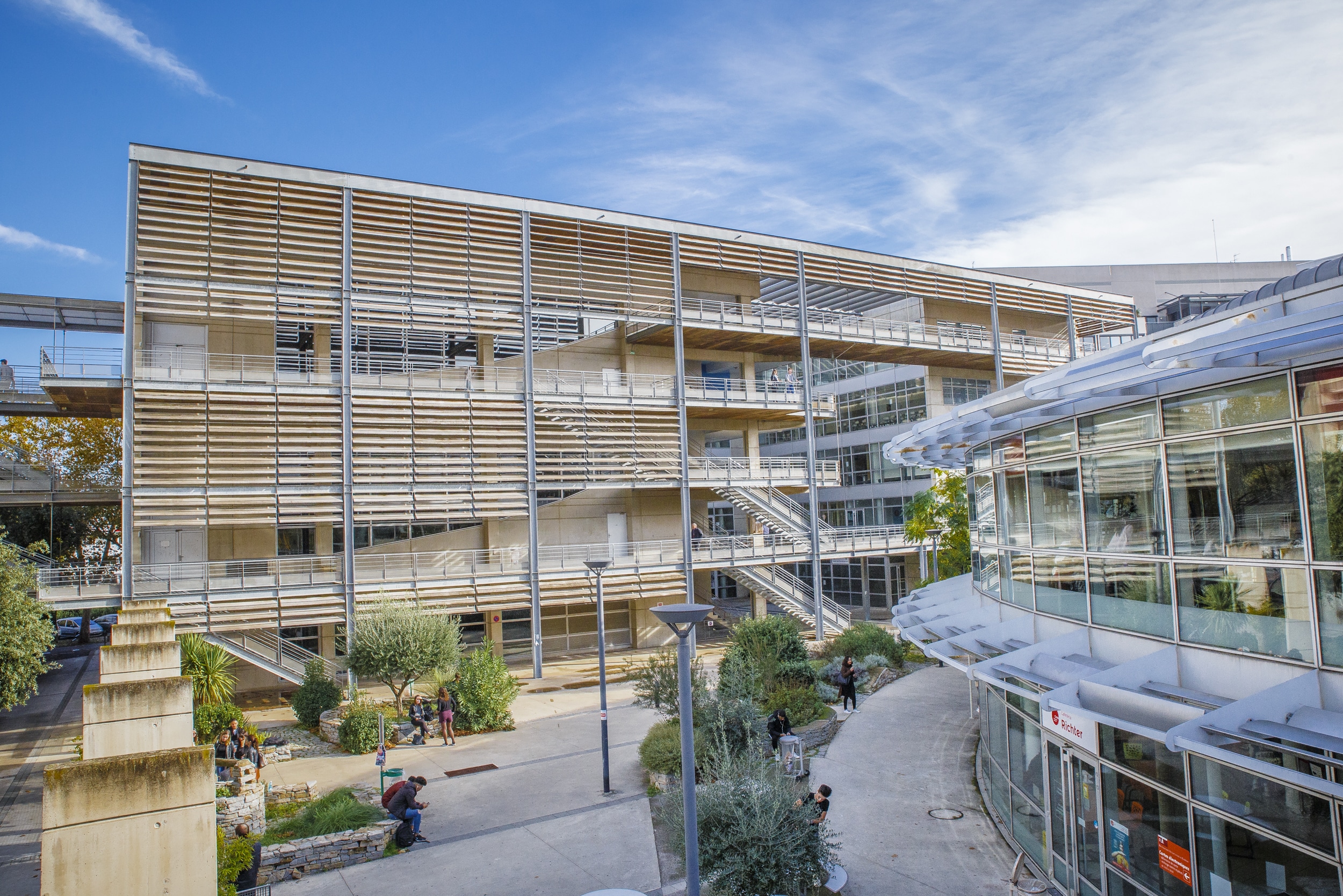 Montpellier Management
