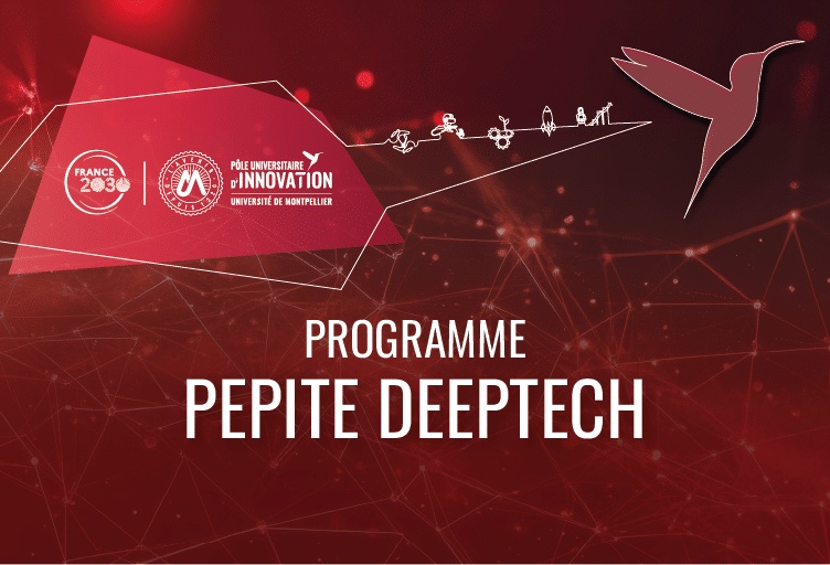 Programme Pepite Deeptech