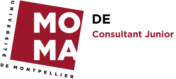 Diplôme d’Etablissement Consultant Junior