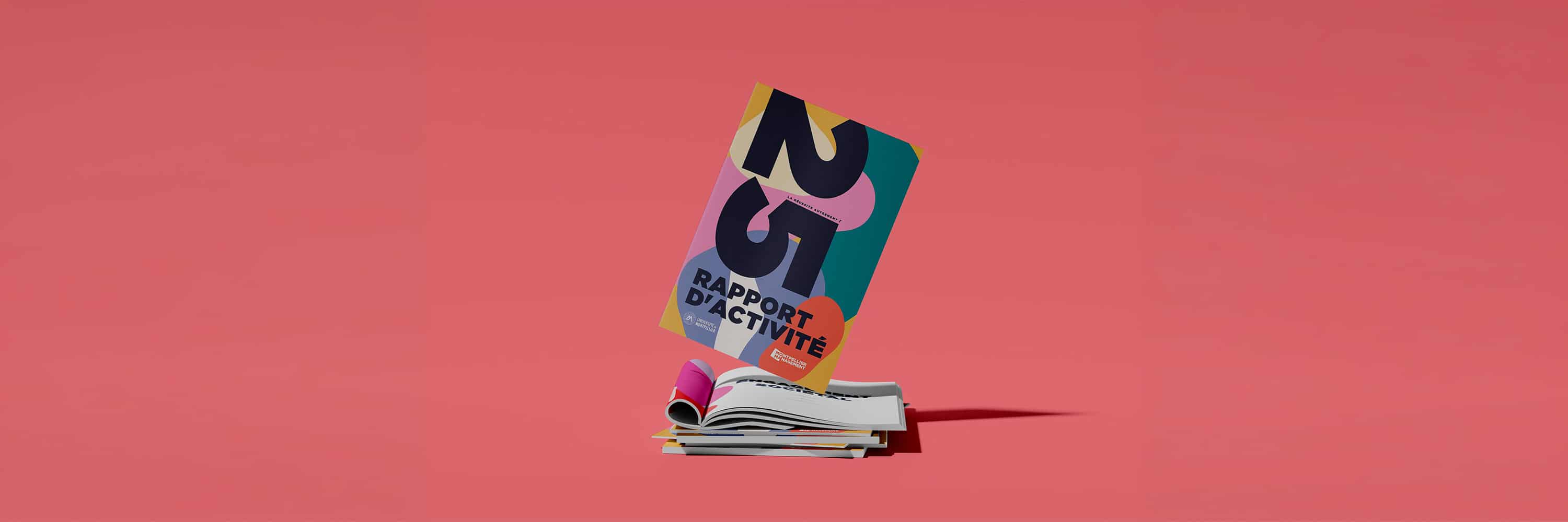 Rapport Activité 2025